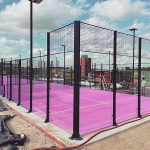 Standard Type Cheap Buy Price Hot Selling 10x20m Paddle Court Padel Tennis Court