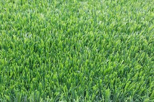 Super Lowest Price China UV-Resistance Durable Landscaping Home Synthetic Fake Lawn Commercial Garden Grass Decoration Artificial Turf