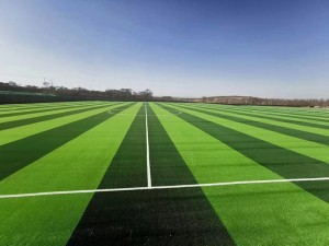 Flat & Stem Shaped Durable Synthetic Grass for Soccer Field，DS-5003