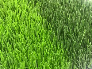 Manufacturer for China 50mm Soccer Sports Futsal Synthetic Lawn Turf Grass for Football