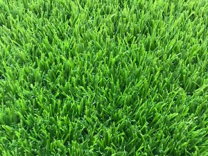 CE SGS Certificated Cost-effective Green Looking Landscaping Artificial Turf, W6080